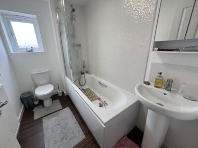 Picture 14